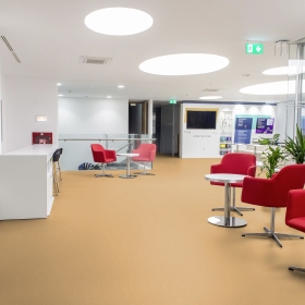 Gerflor DLW Colorette Neocare - Straw Beige 0071 | Linoleum