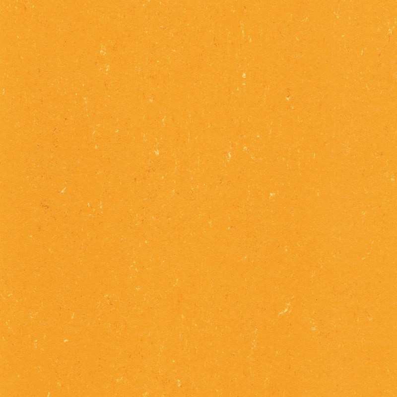 Gerflor DLW Colorette Neocare - Sunrise Orange 0171 | Linoleum